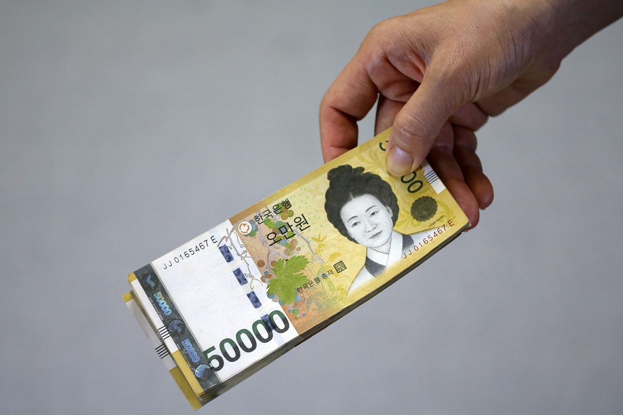한국 전자 금융