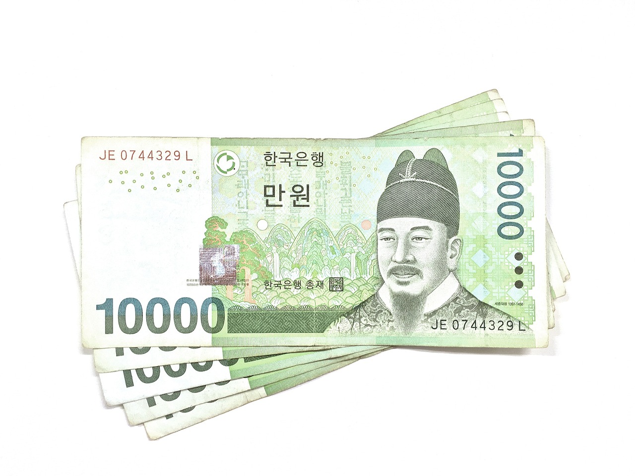한국 전자 금융